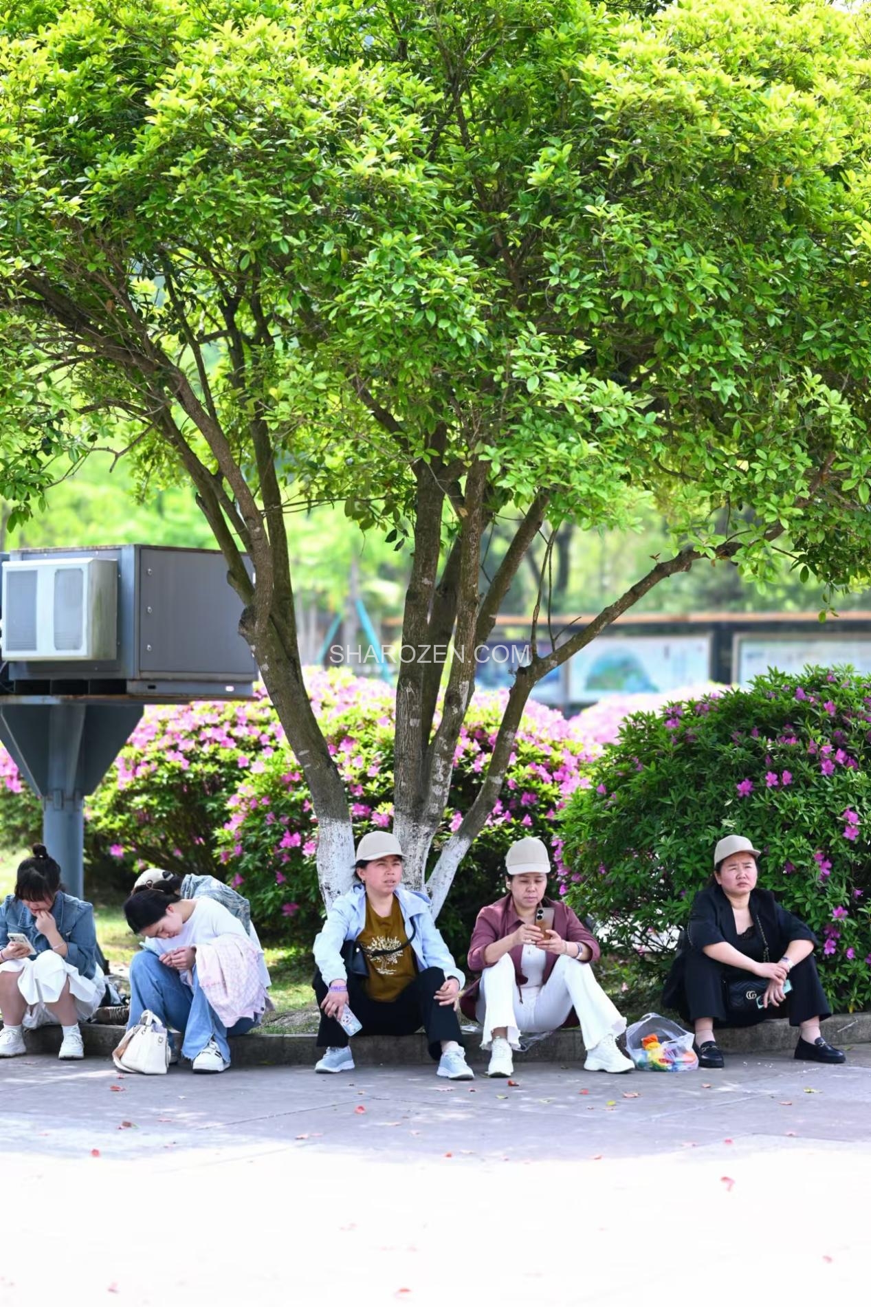 10b59327e6275301d64c46ccc0a2d34